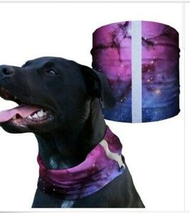 Nebula Dog Bandana Shield